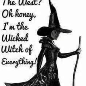 Meet your Posher, Darlene